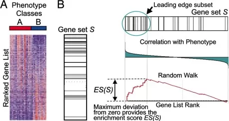 GSEA method overview showing ranked gene list, enrichment score calculation, and permutation testing